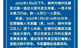 柳州饭店爆料案件最新,揭开神秘事件的真相面纱